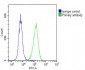 DEPDC5 Antibody (C-term)
